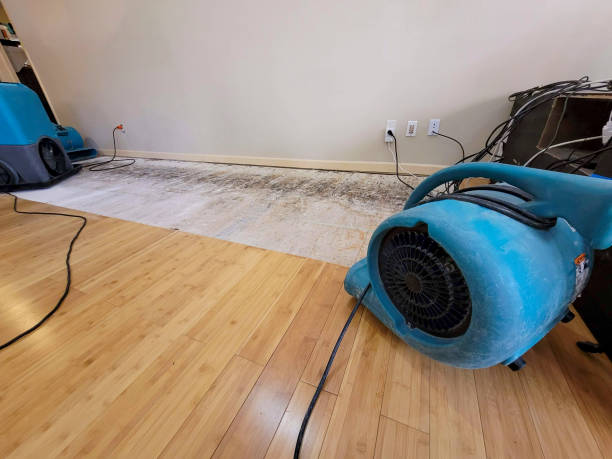 Professional Emergency Water Damage technician working in West Unity, OH